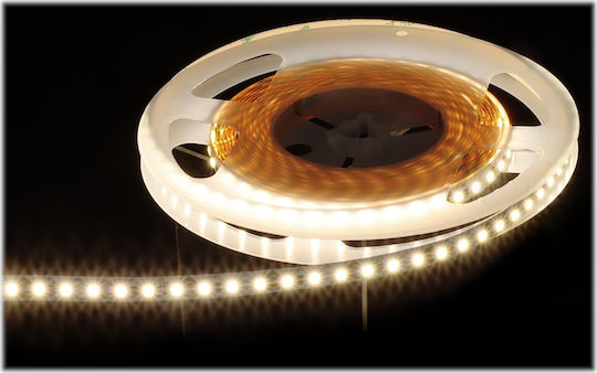 LED Strip 12V Natural White Light 5m