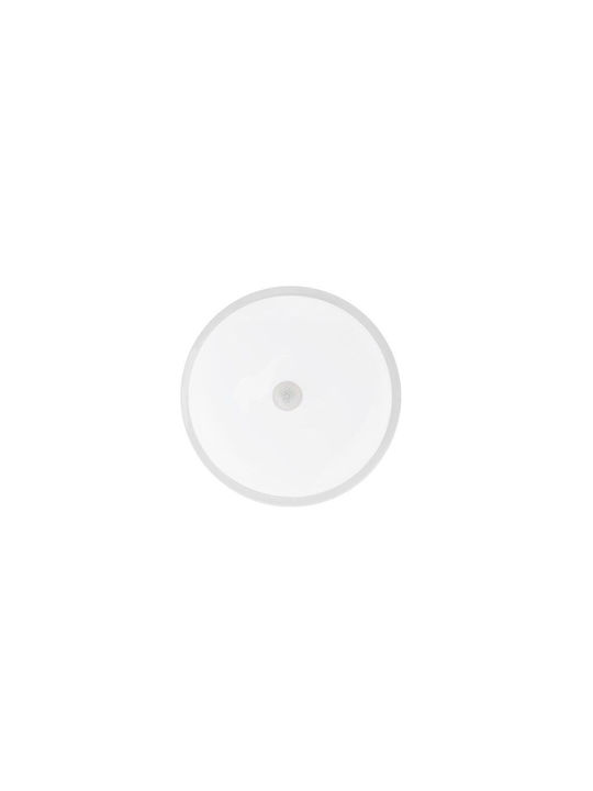 Horoz Electric Lumină de exterior montată pe perete LED IP44 20W cu Alb Rece Lumină