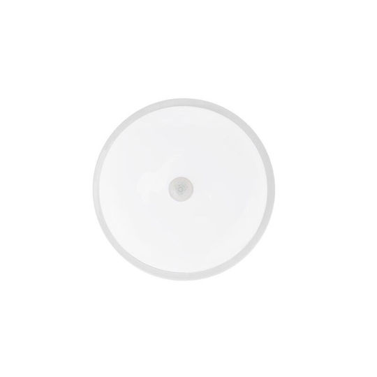Horoz Electric Lumină de Exterior Montată pe Perete LED 20W 6400K