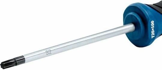 Bosch Screwdriver Torx with Nib Size T25