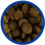 Laky Prolife Adult Dry Food for Adult Cats with Chicken 15kg