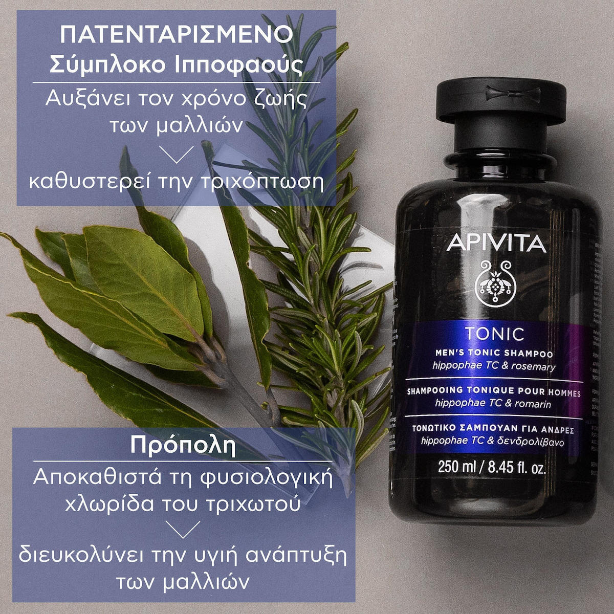 Apivita Men's Tonic Hippophae TC & Rosemary Σαμπουάν κατά της Τριχόπτωσης για Όλους τους Τύπους Μαλλιών 250ml