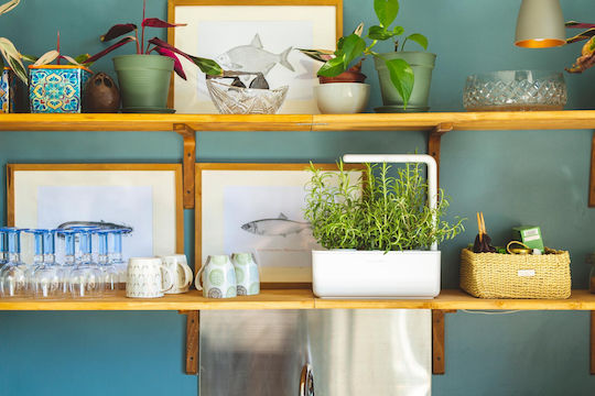 Click and Grow The Smart Garden 3 Self-watering Planter Box Plastic White 32x23x21cm.