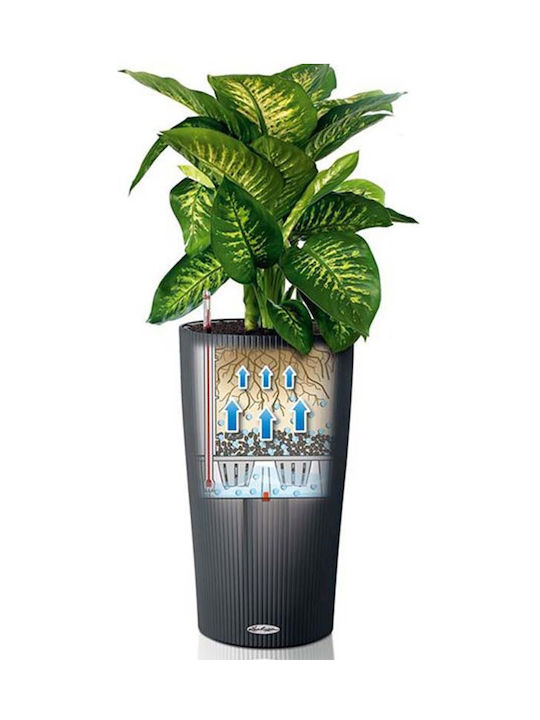 Lechuza Cilindro Self-watering Pot Plastic Sand Brown 21x21x41cm.