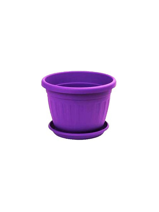 Viosarp Mediteran Topf Kunststoff Purple
