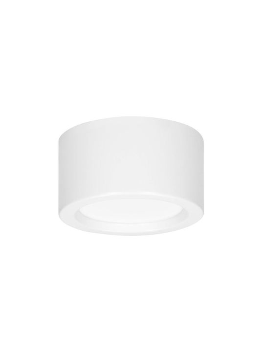 Orno Einzel LED Natürliches Weiß Spot in Weiß Farbe