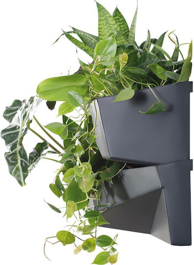 Next Planter Box Plastic Cărbune de lemn 78x19x35cm.