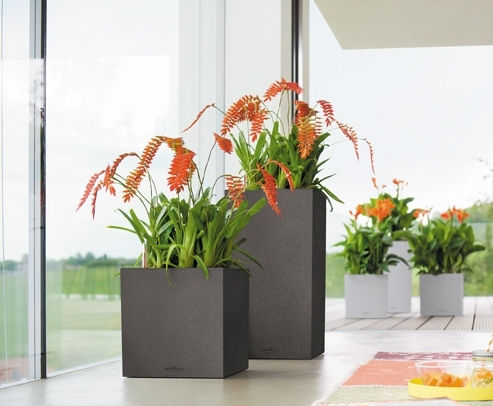 Lechuza Canto Stone Low Самополивен Саксия Пластмаса Graphite Black 29.5x29.5x30см.