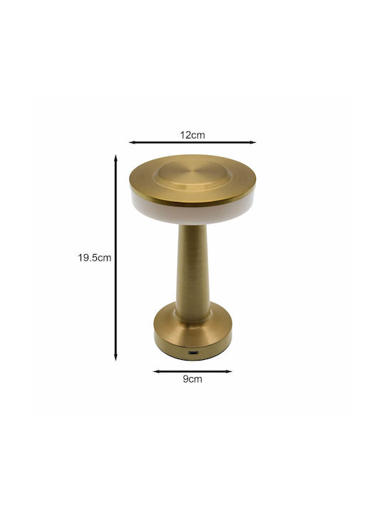 Metallic Decorative Lamp Gold