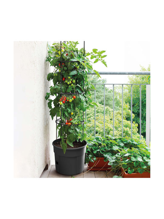 Marhome Tomato Grower Pot Plastic Charcoal 39.2x31.5x153cm.