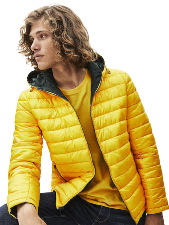 Winter Jacket Green