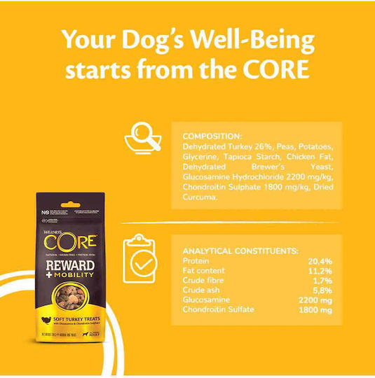 Wellness Core Reward + Treat Treat for Puppies Grain Free with Turkey 170gr