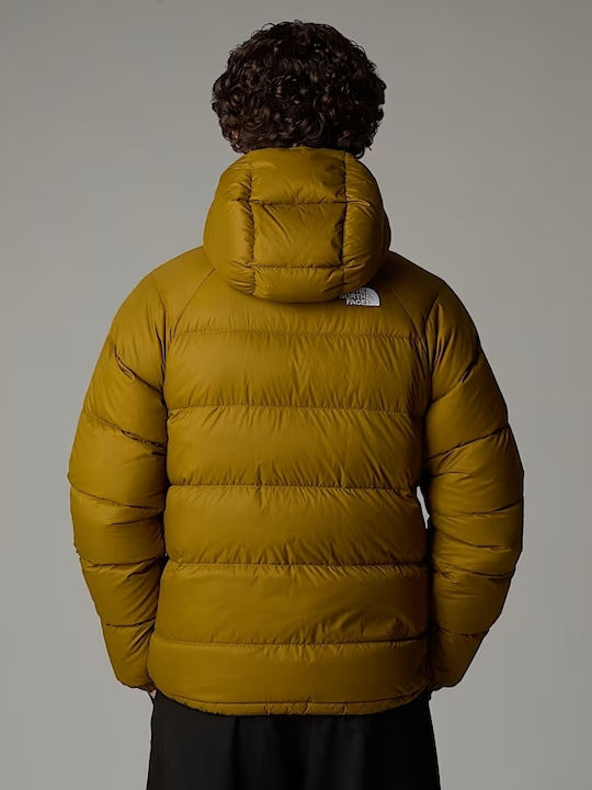 The North Face Hydrenalite Jacket Moss Green