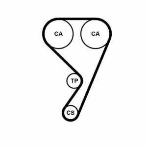 Contitech Timing Belt