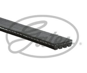 Curea Transmisie Multi-v Gates 4pk895 Bmw Lungime 895 0 Mm Lățime 14 2 Mm Număr de Canale 4 0 Neagră