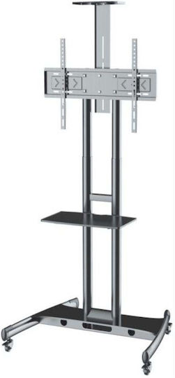 Axred ZEUS Βάση Τηλεόρασης Δαπέδου έως 80" και 45.5kg