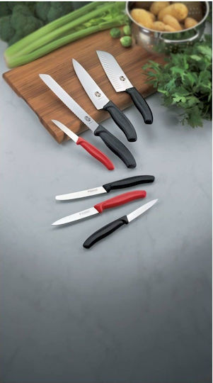 Victorinox Swiss Classic Μαχαίρι Γενικής Χρήσης από Ανοξείδωτο Ατσάλι 10cm