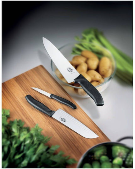 Victorinox Swiss Classic Μαχαίρι Γενικής Χρήσης από Ανοξείδωτο Ατσάλι 10cm