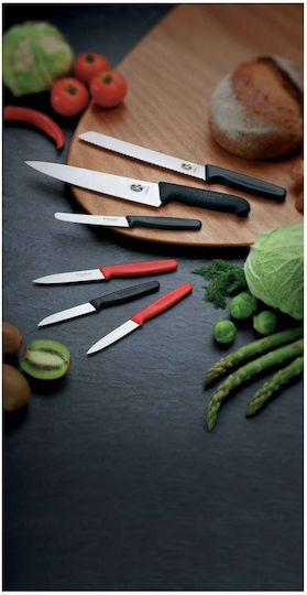 Victorinox Fibrox Knife Boning from Stainless Steel 12cm