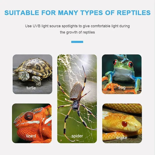 Heat Lamp UVA+UVB 3 Reptiles Turtles Clamp On/Off Switch Lamp UVA UVB 50W