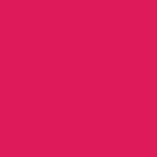 Royal Talens Paint Flüssige Handwerksfarbe Rot Tafel Für Holz 250ml