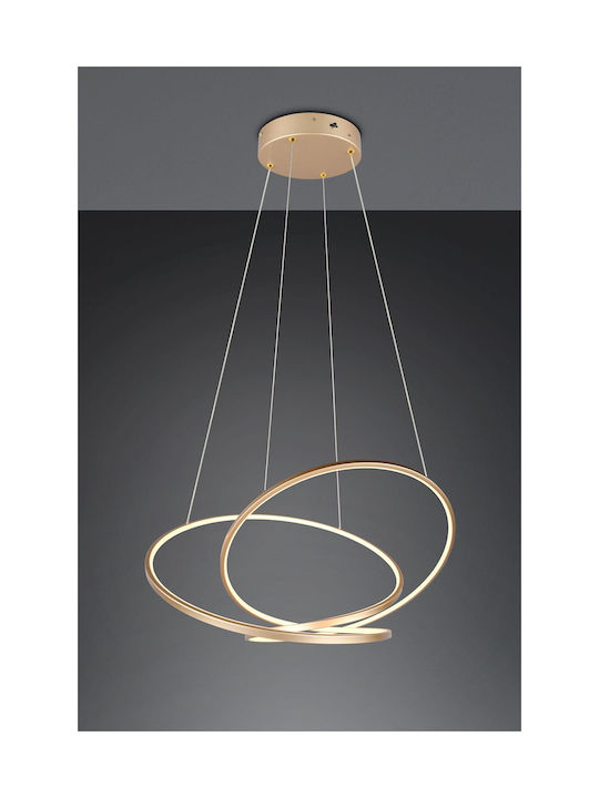 Trio Lighting Pendant Light Gold