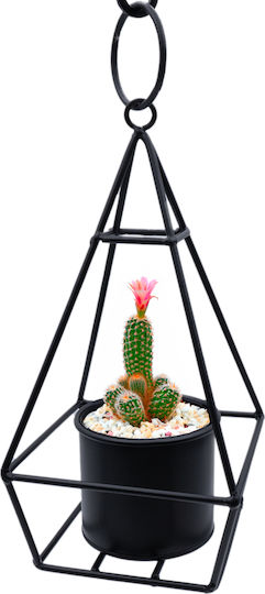 Uncle George Hanging Planter Metal Black 14x14x29cm.