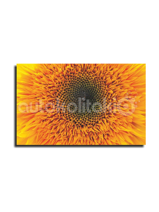Canvas Painting Sunflower 140cm X 87cm
