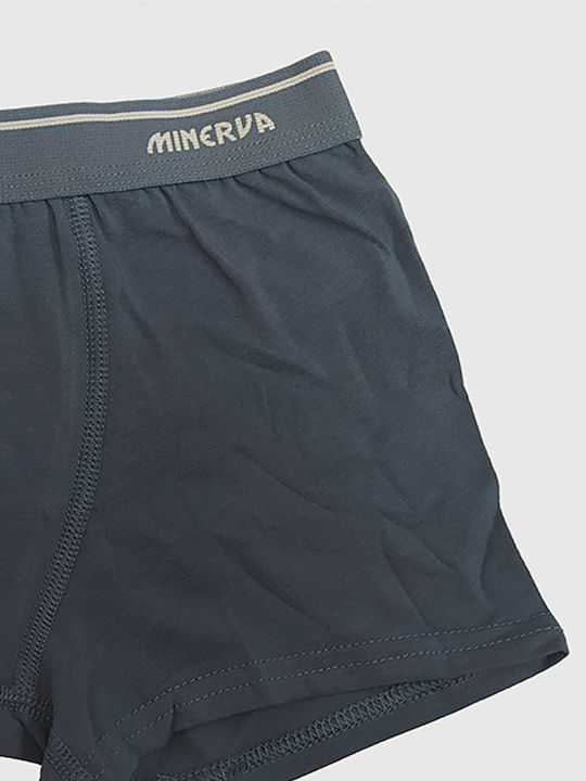 Minerva Set of Kids' Boxers Multicolored