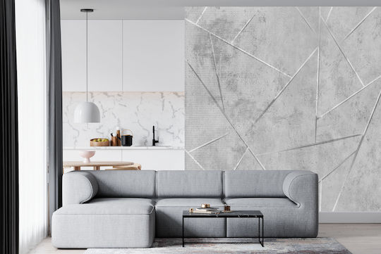 Fototapet 3D pentru Cameră Linii de Beton Living 148x220
