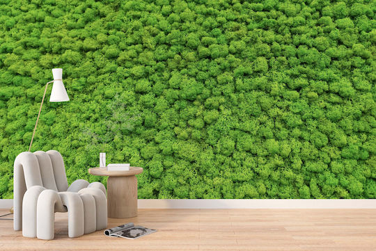 Contemporary Wall Mural Living Room Green Moss Weed 148x220
