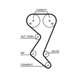 Water Pump Set + Gates Timing Belt