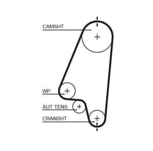 Gates Timing Belt