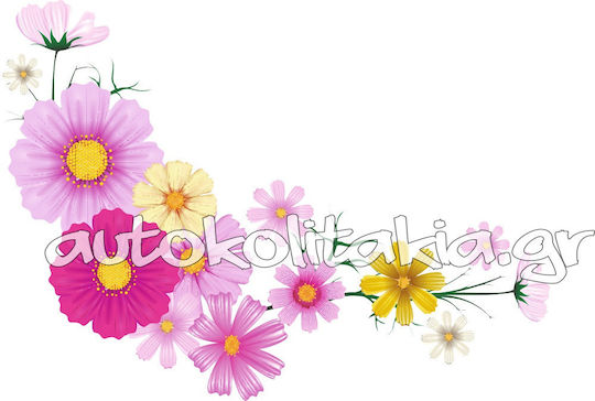 Frühlingsblumen Fenstersticker 22 50cm X 34cm