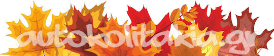 Autumn Sale Sticker Discounts 28 50cm X 10cm