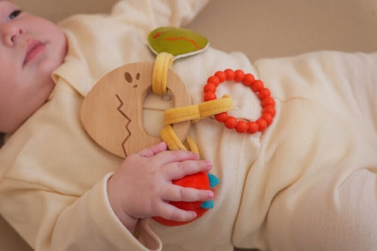 Ξύλινη Κουδουνίστρα Dino Friends 0m+ Baby To Love Bws-btl304850