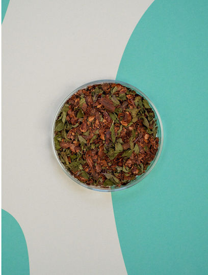 Rhoeco Organic Cocoa Mint Seed Shells 10 Sachets 16795