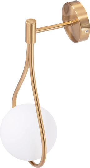HomeMarkt Bais Modern Wall Lamp with E27 Lamp Bulb Base Gold 21x4cm