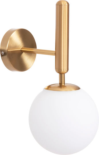 HomeMarkt Homy Leuchte Wand mit Fassung E27 Gold 14cm