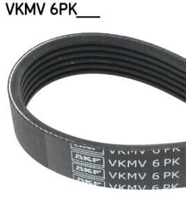 SKF V-Gürtel