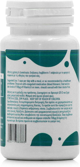 AM Health K&D Synergy Ergänzung Zur Unterstützung Des Immunsystems 60 Kapseln