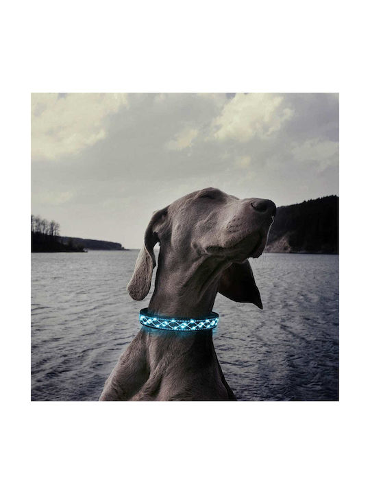 Dog Collar LED Light Reflective Strip USB