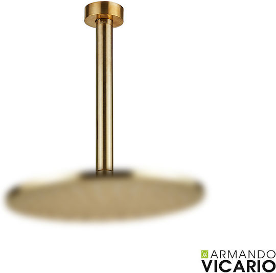Vicario Brushed Gold Round Ceiling Arm 20cm