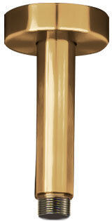 Βραχίονας Οροφής Στρογγυλός 10εκ Aisi316 Inox Pvd Brushed Gold Βραχίονας Οροφής Στρογγυλός 10εκ Aisi316 Inox Pvd Brushed Gold