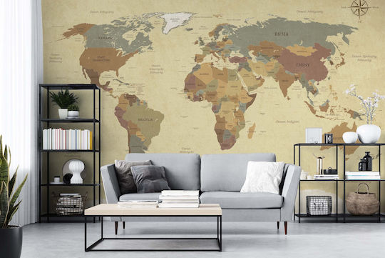 Decorațiune murală hartă mondială geografie 240x360