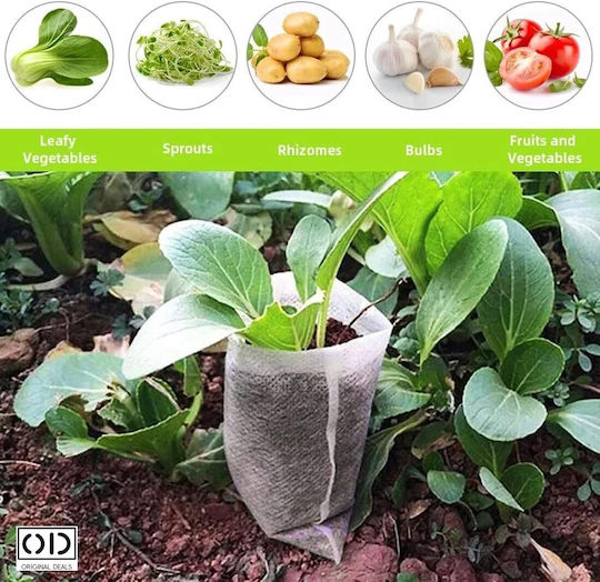 Seed Seedling Germination Bags Vegetables Fruits Premium Biodegradable Material Set 100 Pieces Size 10 X 8 Cm Original Deals