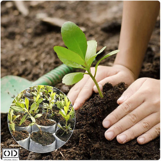 Seed Seedling Germination Bags Vegetables Fruits Premium Biodegradable Material Set 100 Pieces Size 12 X 10 Cm Original Deals