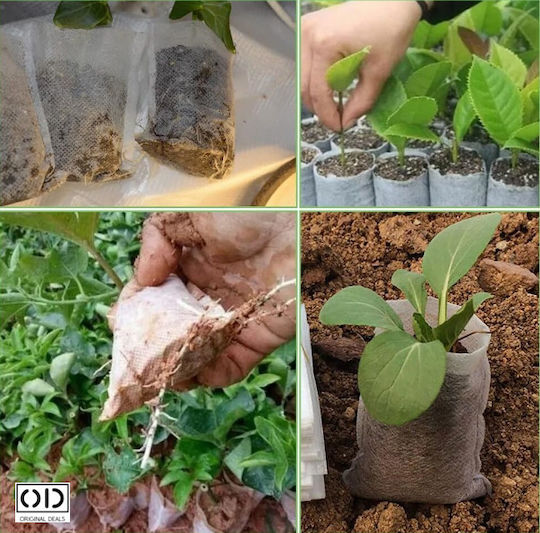 Seed Seedling Germination Bags Vegetables Fruits Premium Biodegradable Material Set 100 Pieces Size 12 X 10 Cm Original Deals