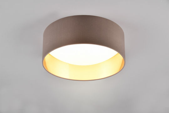Trio Lighting R641911 Trio Lighting R641911