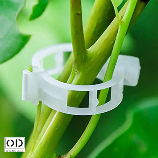Cleme de Susținere pentru Legarea Lăstarilor de Plante Roșii Castraveți Viță de Vie Compatibilitate Universală Diametru 3 Cm Reutilizabil Set 100 Bucăți Alb Oferte Originale